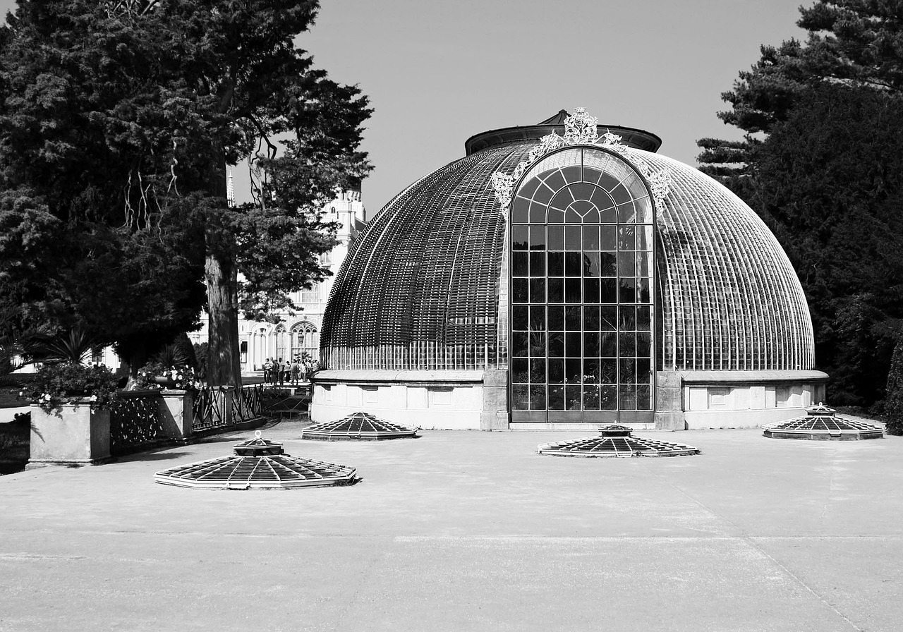 How to Build a Greenhouse on a Budget